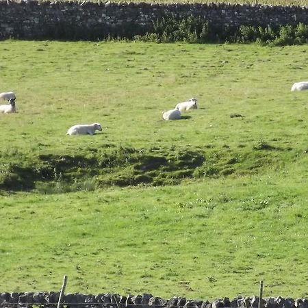 Curlew Barn Bed & Breakfast Leyburn Bagian luar foto