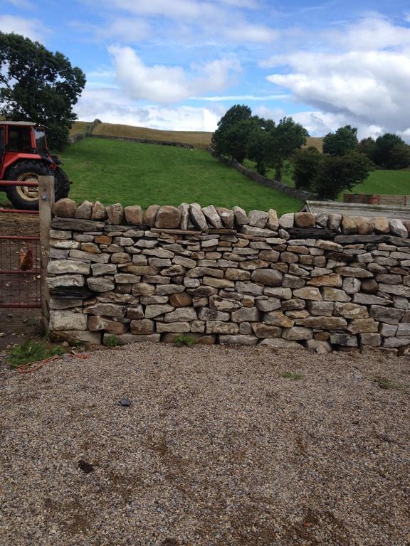 Curlew Barn Bed & Breakfast Leyburn Bagian luar foto