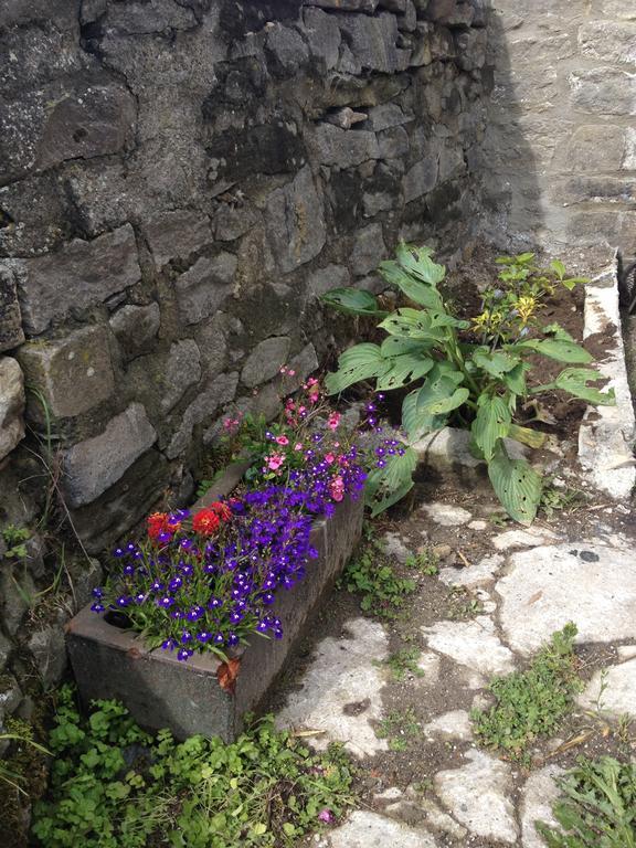 Curlew Barn Bed & Breakfast Leyburn Bagian luar foto