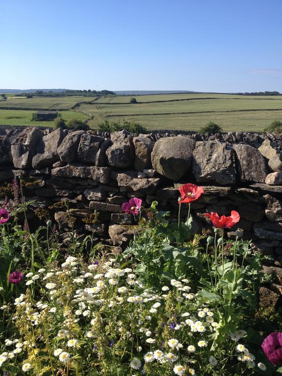 Curlew Barn Bed & Breakfast Leyburn Bagian luar foto