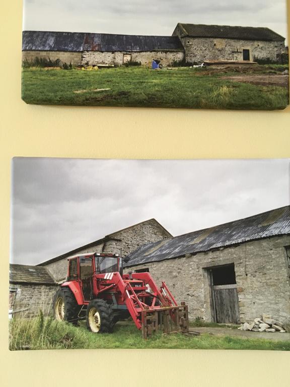 Curlew Barn Bed & Breakfast Leyburn Bagian luar foto